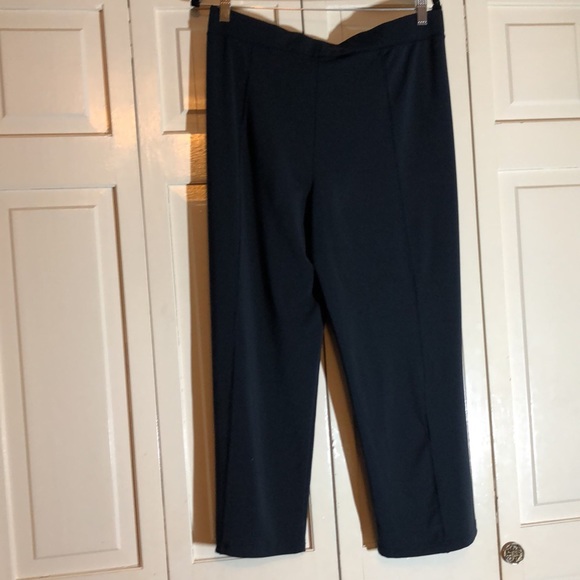 CAbi Navy Pull On Wide Leg Pant SZ M - Picture 4 of 6